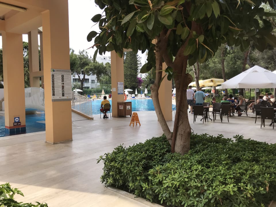 Pool Asteria Collection Side