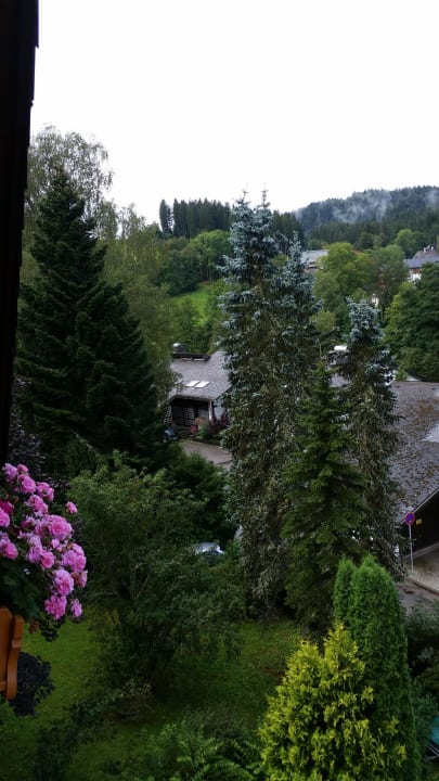 Blick ins Grüne Gästehaus Schwarzwaldhüsle