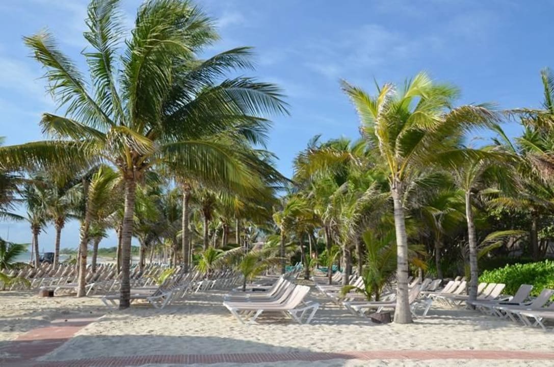 Strand am Morgen Catalonia Playa Maroma