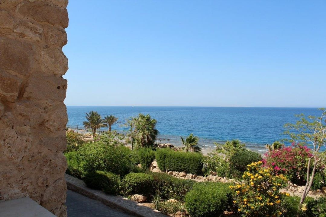 Зелени достаточно! Pickalbatros Citadel Resort