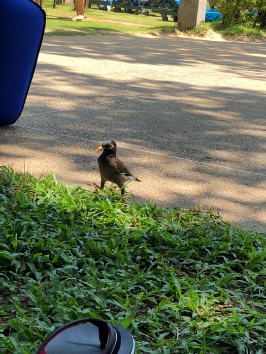 Sonstiges Khao Lak Merlin Resort