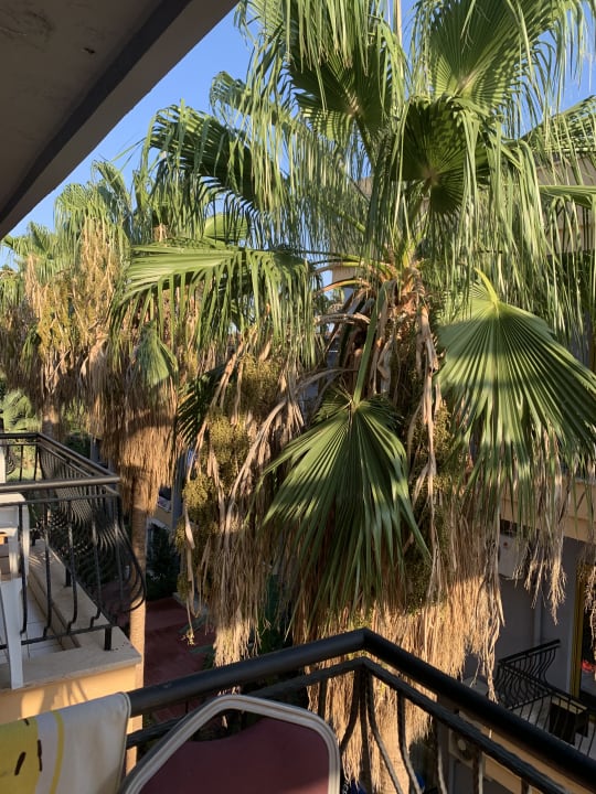 Gartenanlage Belpoint Beach Hotel