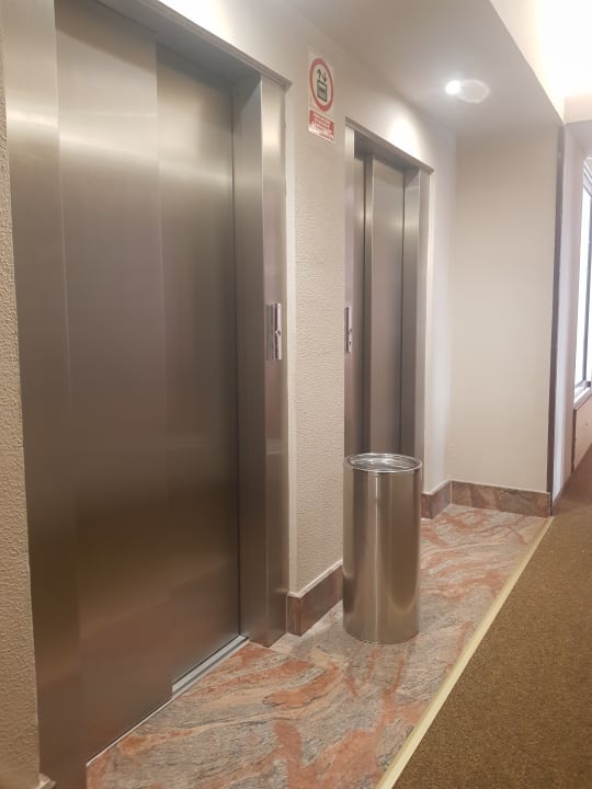 Sonstiges Bull Astoria