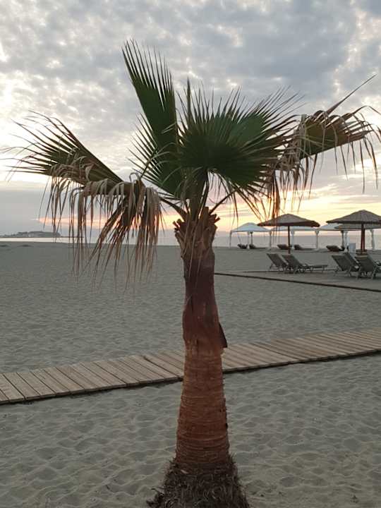 Strand Grecotel Creta Palace