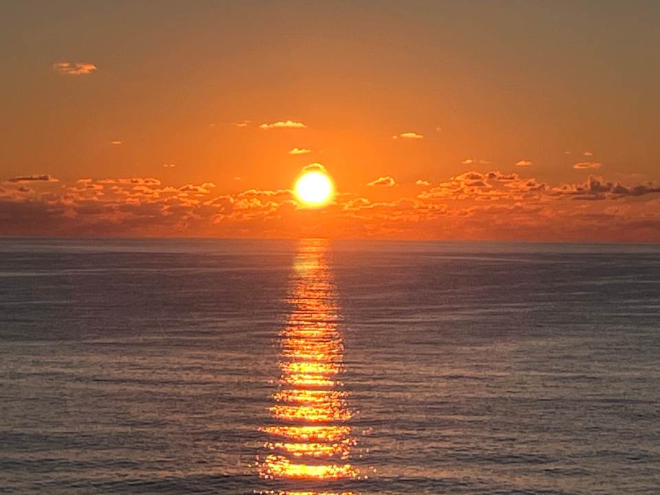 Ausblick Aparthotel Playa Dorada