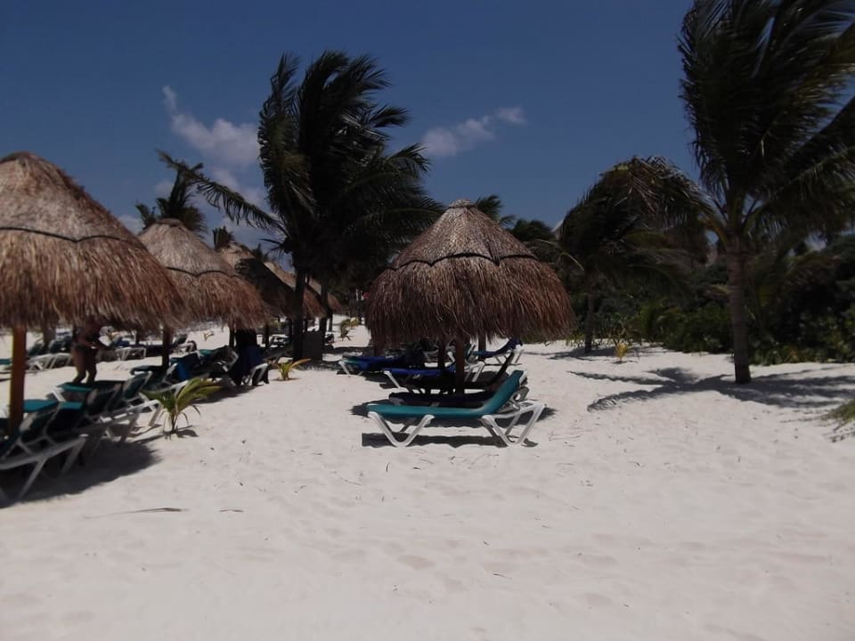 Strandabschnitt mit Schirmen Catalonia Playa Maroma