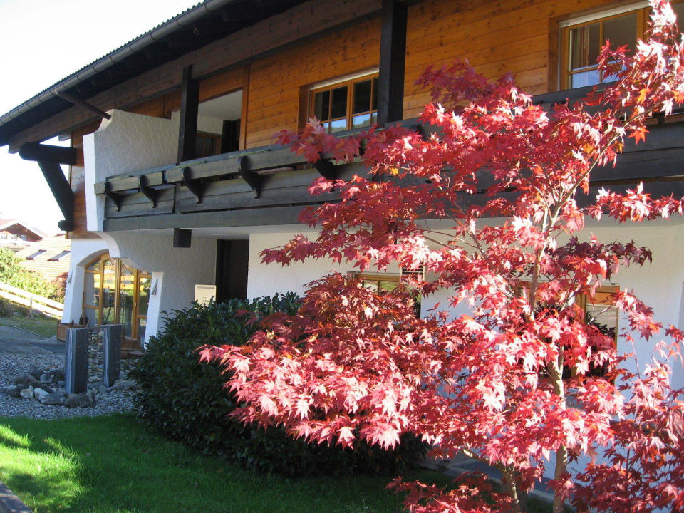 Sommer Nebelhorn Relaxhotel