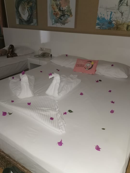 Zimmer Seaden Sea World Resort & Spa