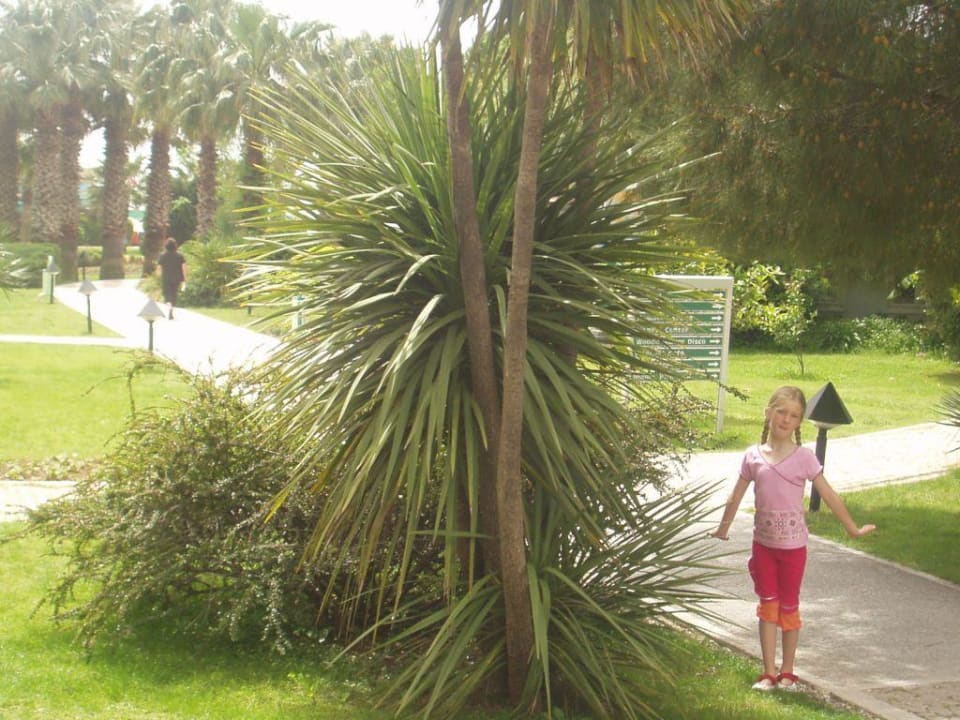 Aussenanlge Megasaray Club Belek