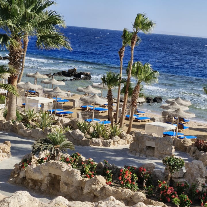 Strand Pickalbatros Citadel Resort