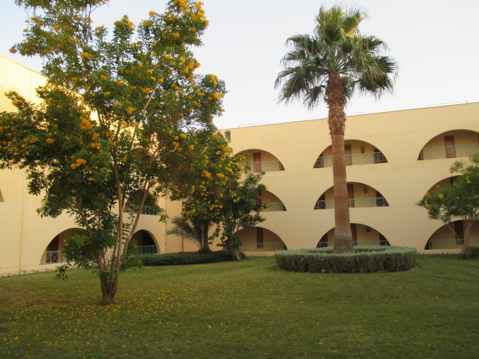 Вид на сад Desert Rose