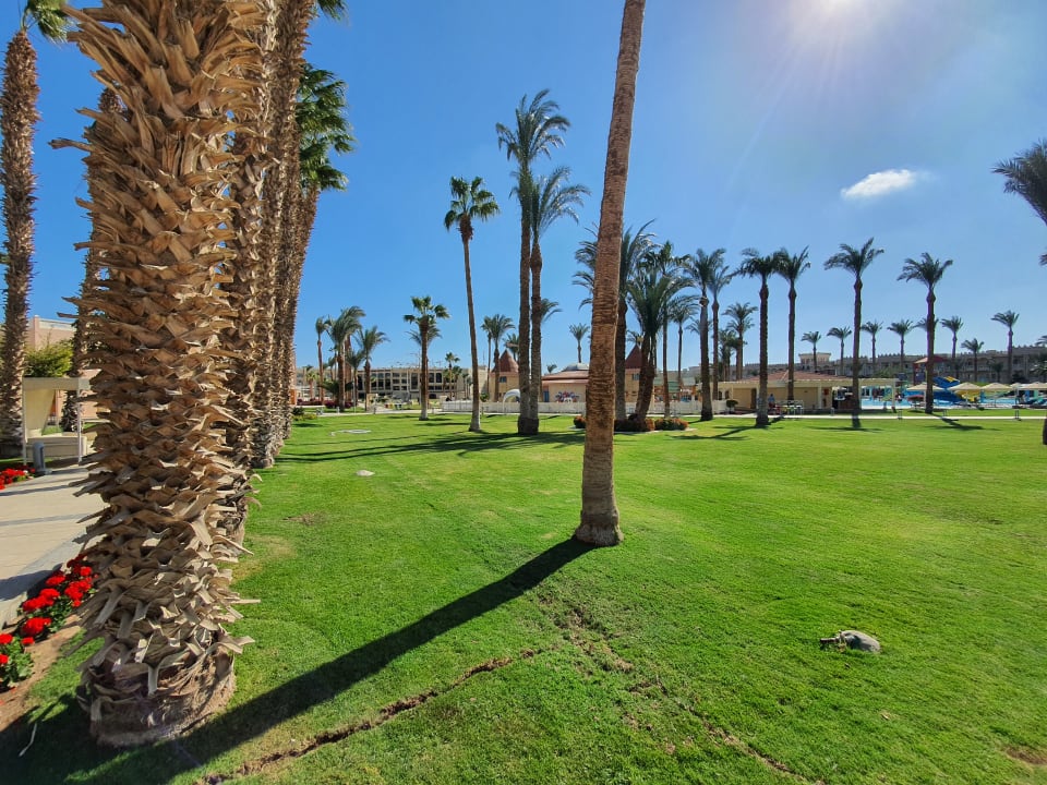 Gartenanlage Beach Albatros Resort