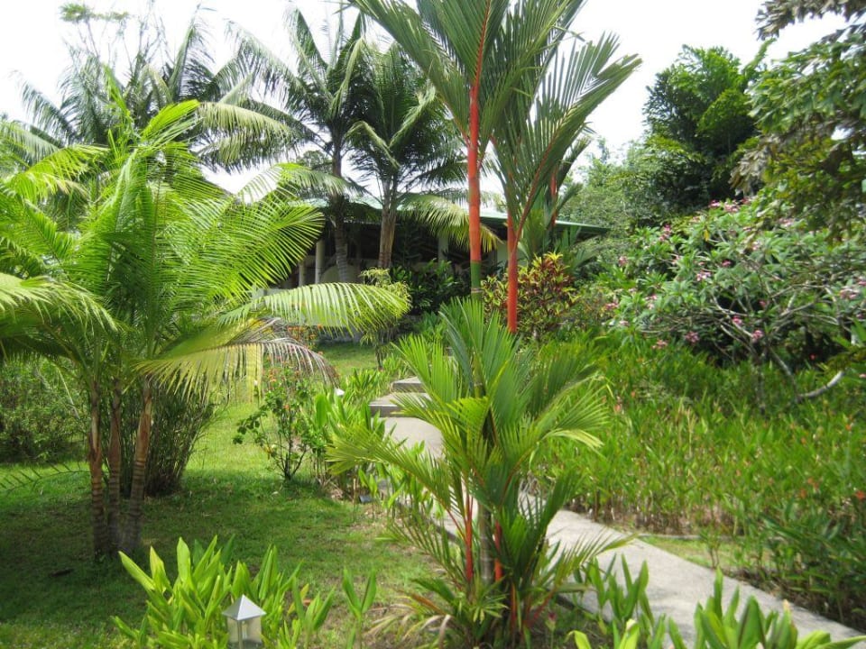 Traumhafter Blick über den Pazifik Finca Bavaria