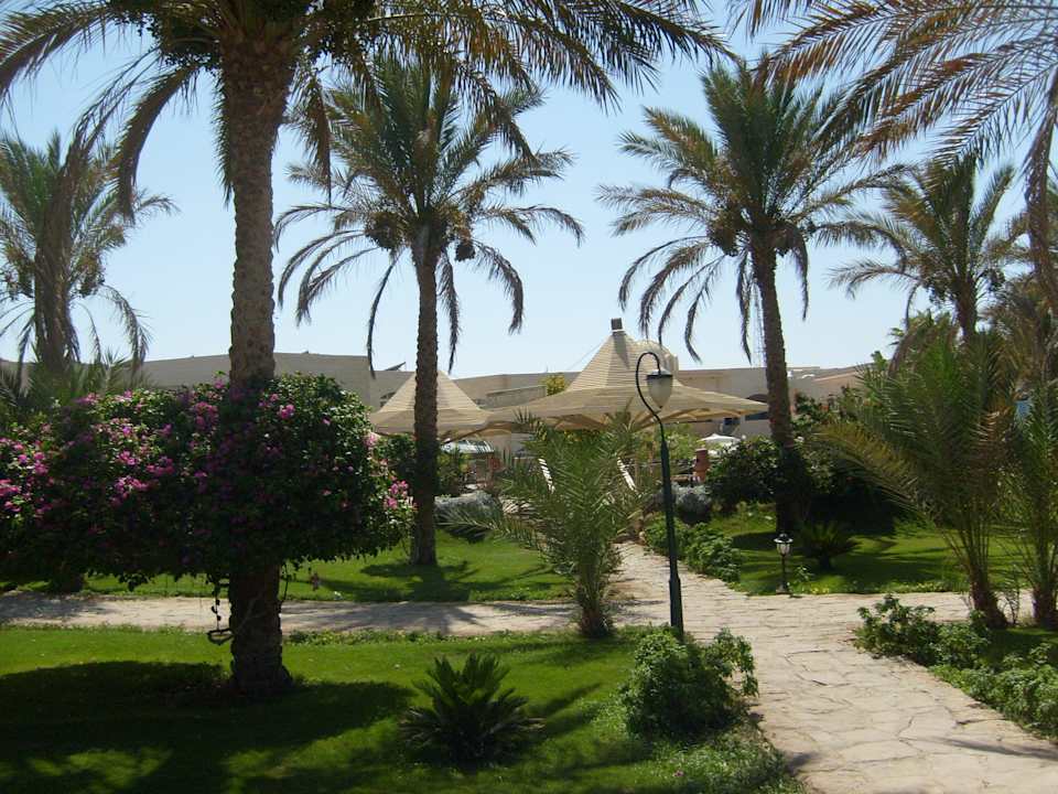 Weg zum Strand Brayka Bay Resort