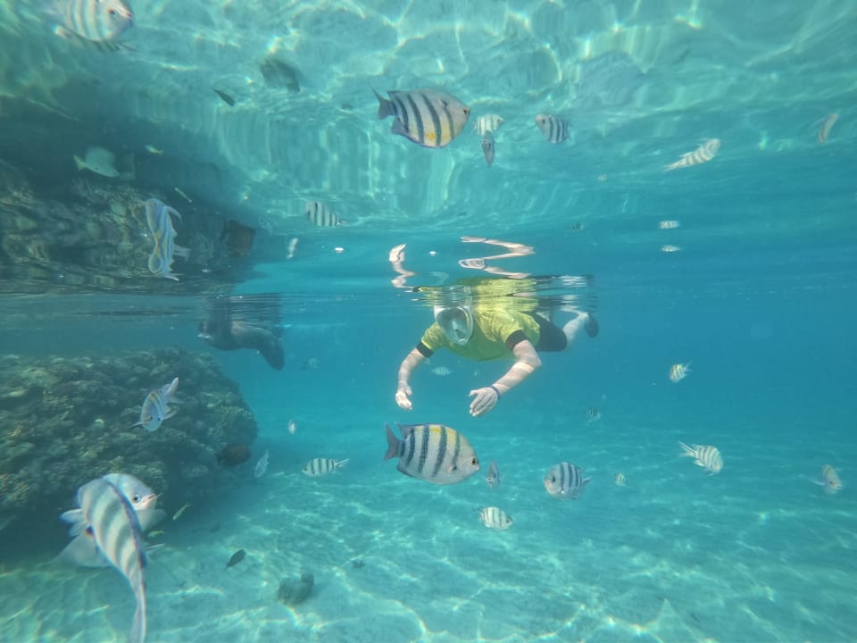 Strand Hilton Marsa Alam Nubian Resort