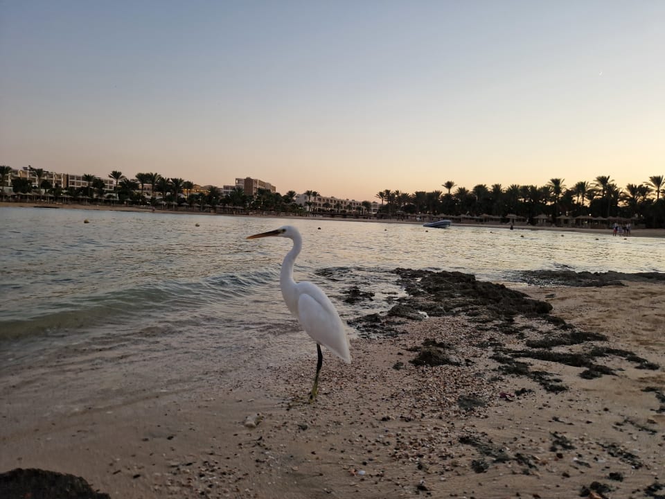 Strand Brayka Bay Resort