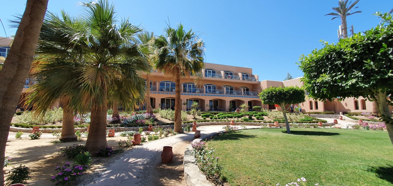 Gartenanlage Club Paradisio El Gouna, Red Sea