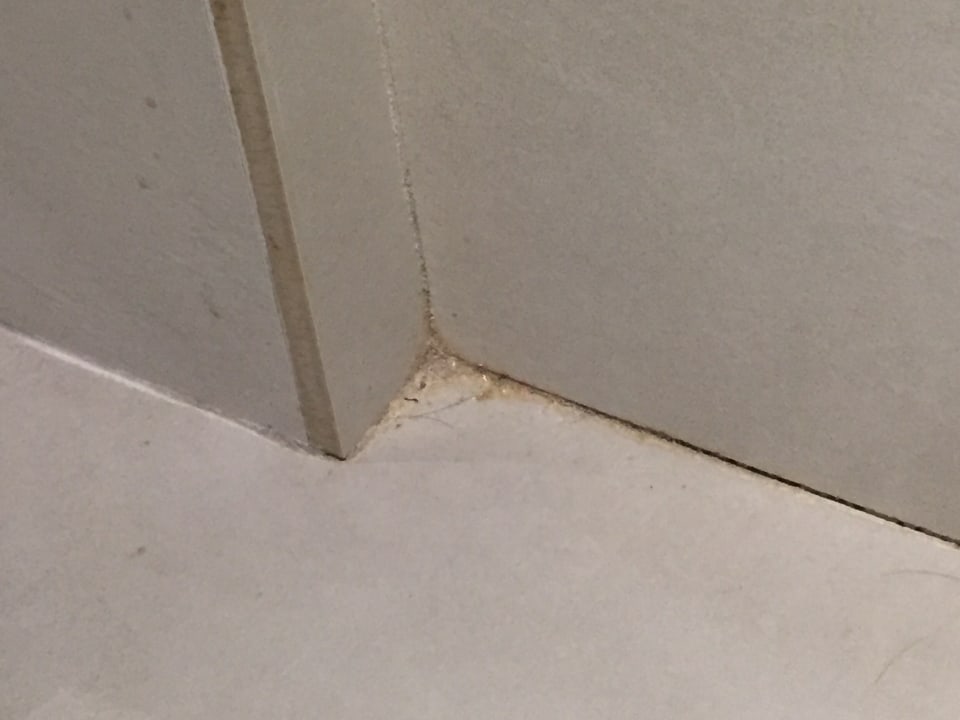 Zimmer Prinsotel La Dorada