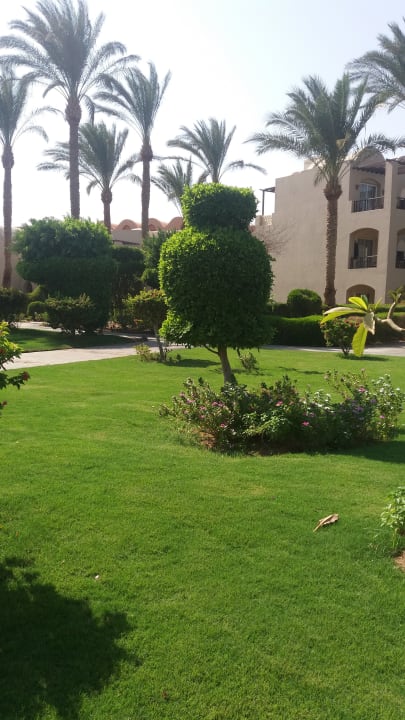 Garten Jaz Makadi Oasis Resort