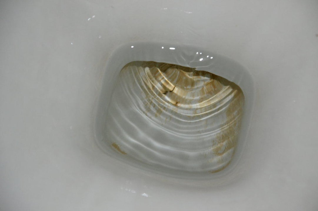 Toilette Zimmer 1234 Kamelya Aishen Club