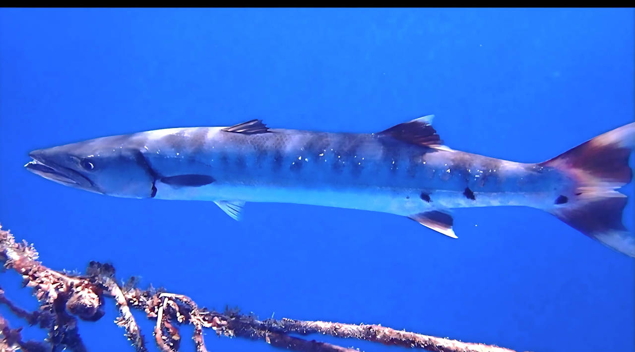 Sport & Freizeit Makadi Spa - Adults only