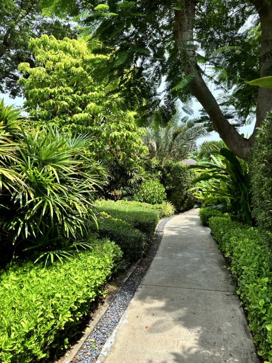 Gartenanlage SAii Koh Samui Villas (adult only 12+)