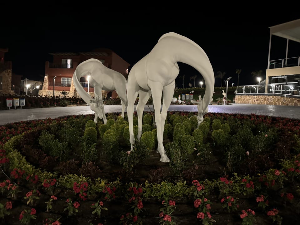 Gartenanlage Pickalbatros Vita Resort - Portofino Marsa Alam