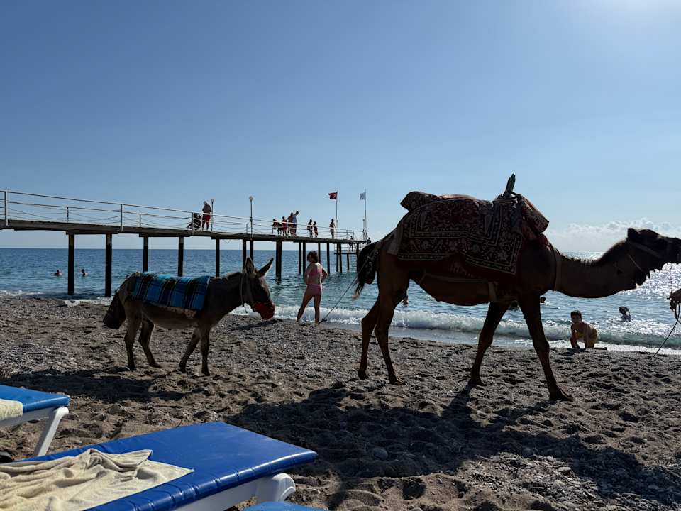 Strand Cenger Beach Resort & Spa