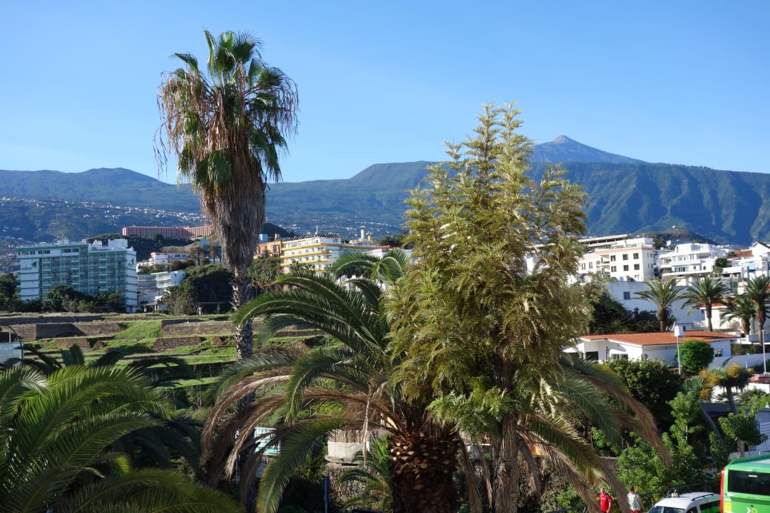 Ausblick Apartamentos Casablanca