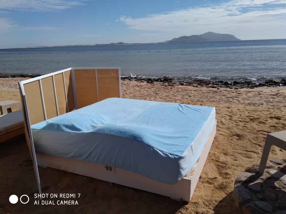 Strand Pickalbatros Palace Resort