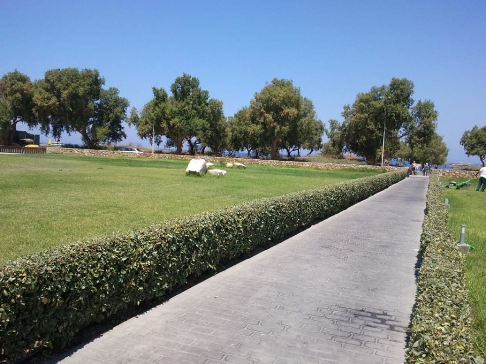 Weg zum Strand TUI BLUE Palazzo del Mare