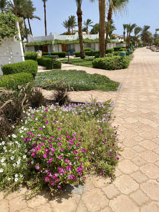 Gartenanlage Shams Safaga Resort