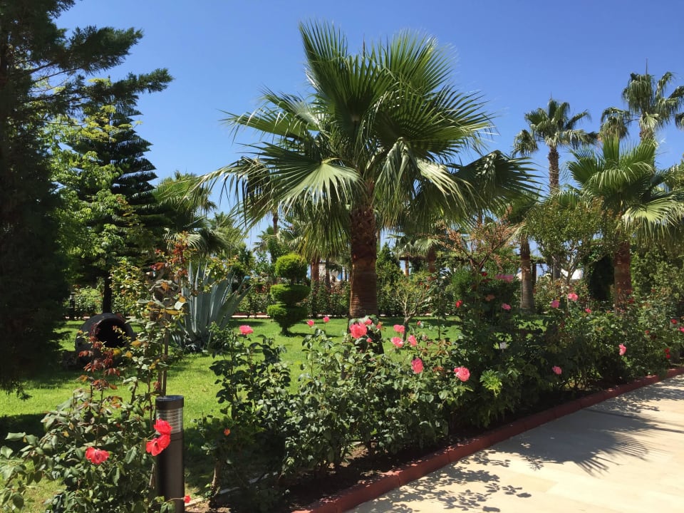 Garten Saphir Resort & Spa