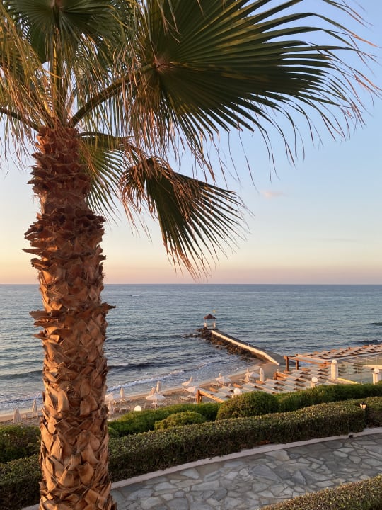 Ausblick Alexander Beach Hotel & Village Resort