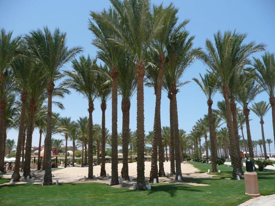 Landschaft am Strand Makadi Palace