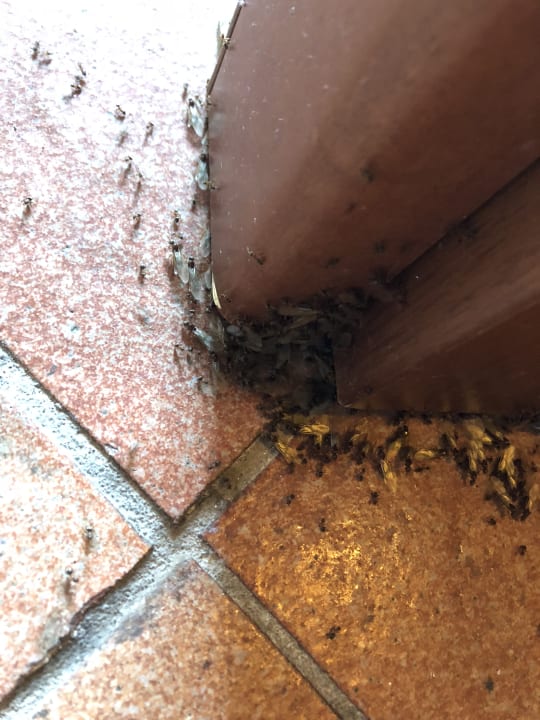 Zimmer Centro Vacanze La Limonaia