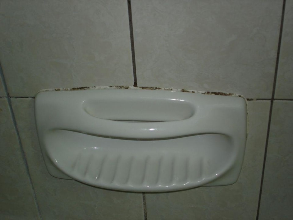 Schimmelbefall  Constantinos The Great Beach Hotel