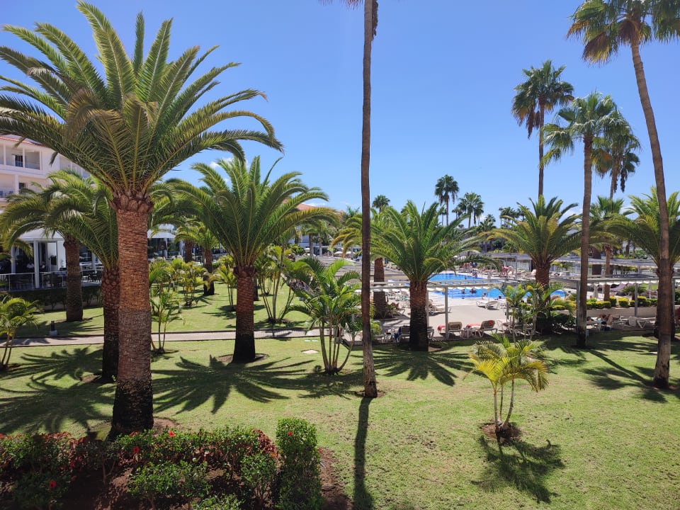 Pool Hotel Riu Arecas - Adults only