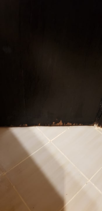 Zimmer Three Corners Sea Beach Resort