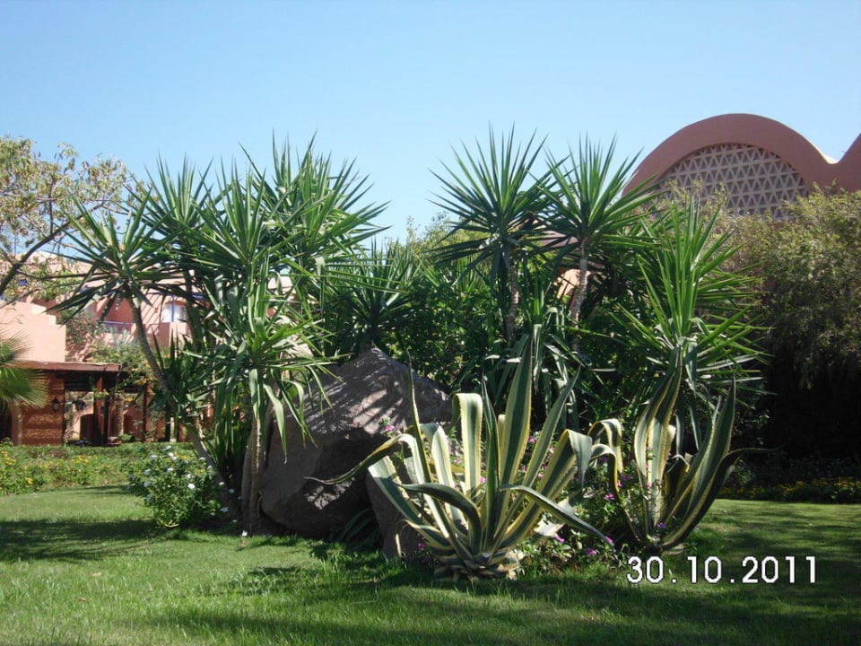 Vor dem Hotel Jaz Makadi Oasis Resort