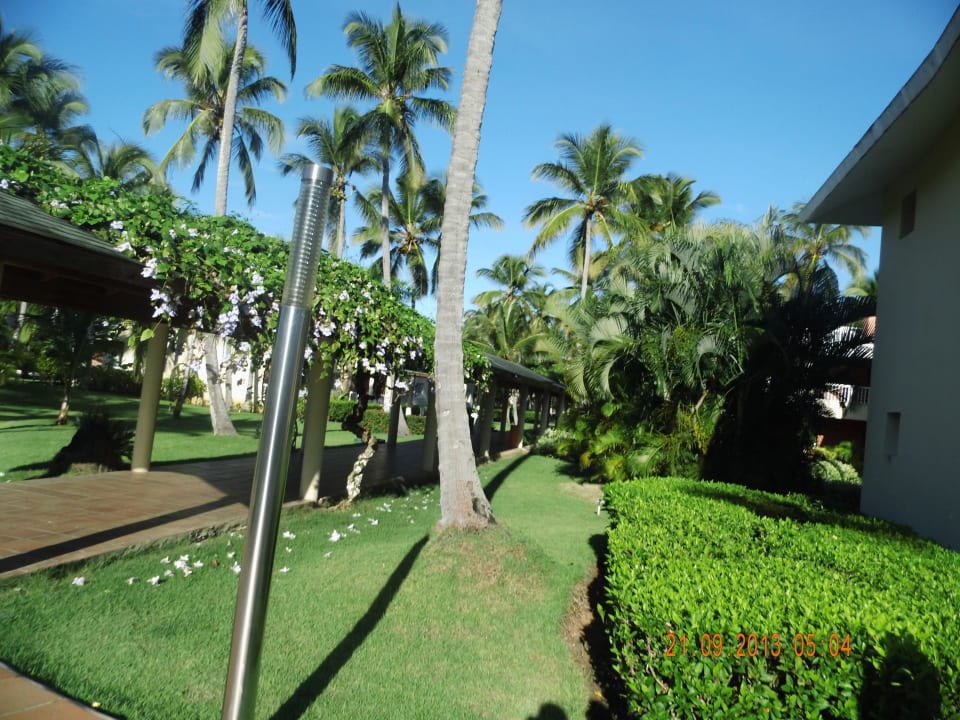 Hammer Grand Sirenis Punta Cana Resort & Aquagames
