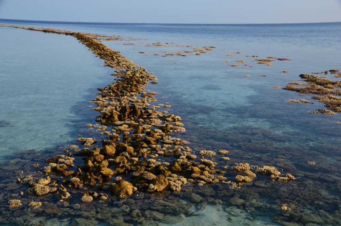 Morgens bei Ebbe Angaga Island Resort
