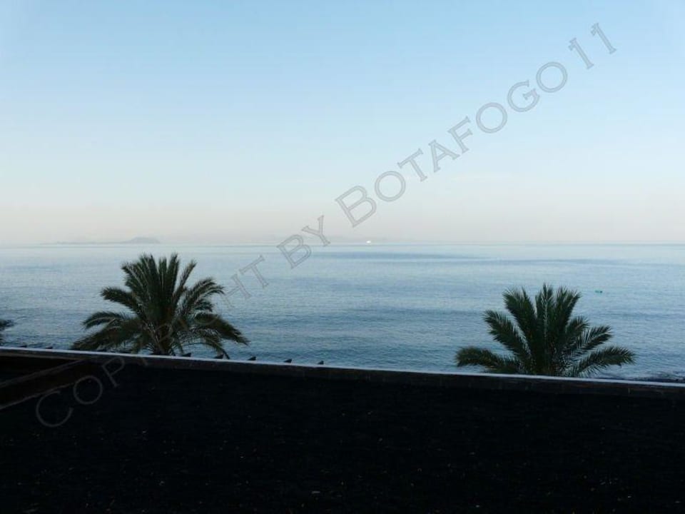 Vor dem Balkon: Plamen Sandos Papagayo