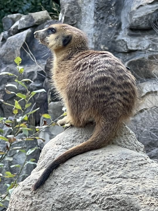 Sonstiges Dream World Aqua Hotel