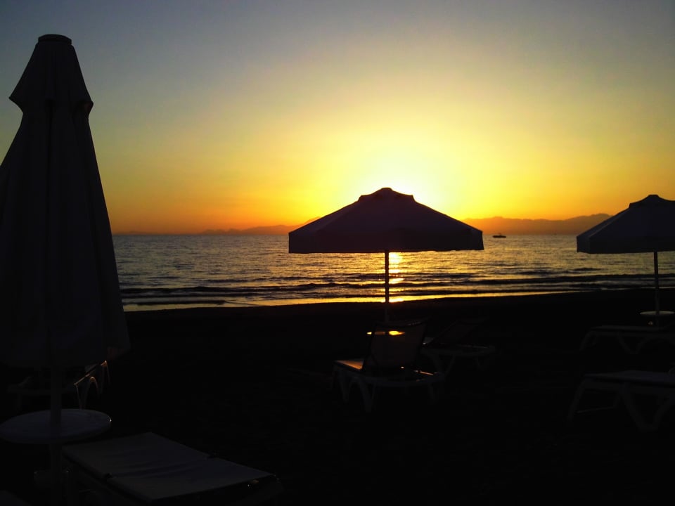 Strand Acanthus Cennet Barut Collection