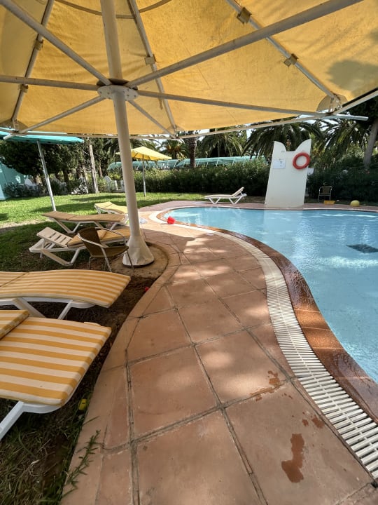 Pool Calimera Delfino Beach Resort & Spa