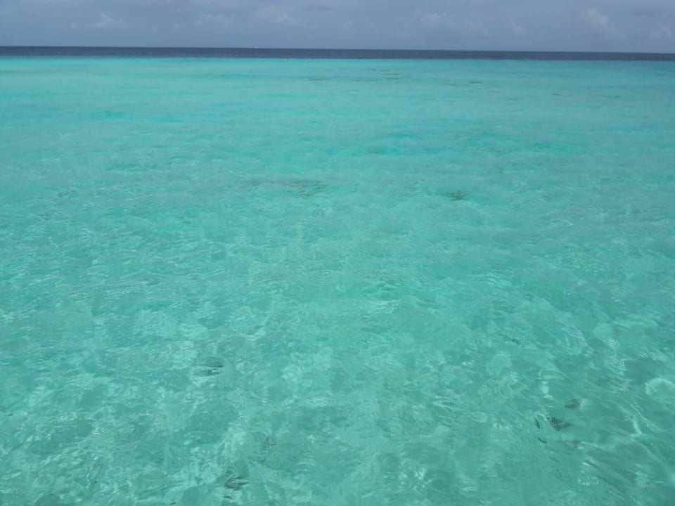 Ausblick Summer Island Maldives