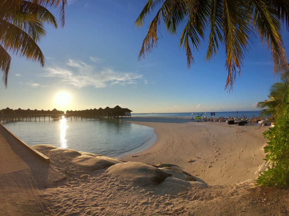 Gastro ROBINSON MALDIVES