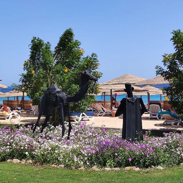 Gartenanlage Fort Arabesque Resort, Spa & Villas