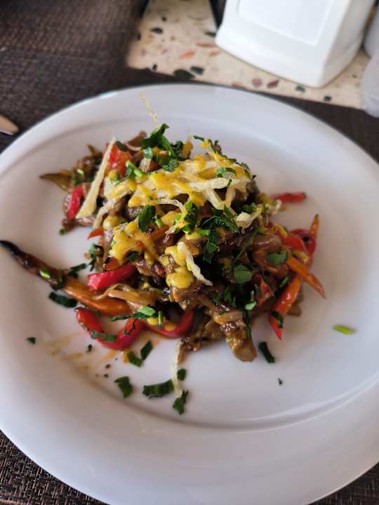 Gastro Seashell Vega